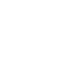 ランキング